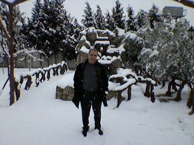 ���������� ����, ���� ������� ����, 59 ���, ������������ 