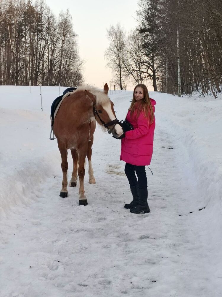 ���������� ������, ���� ������� ���������, 31 ���, ������������ ��� ����� � ���������, ���������