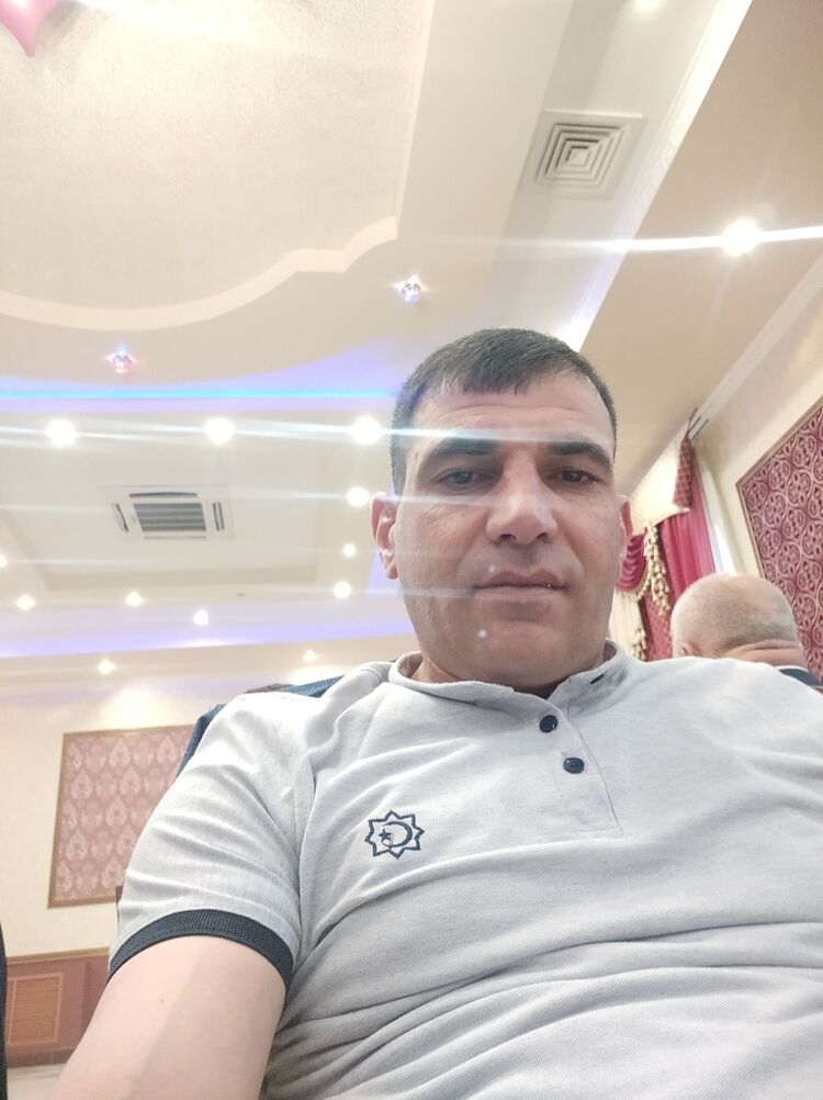  35533455  , 31 ,    