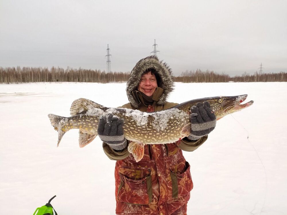 ���� 55199445 ������� �����, 40 ���, ���� ���������� � �������