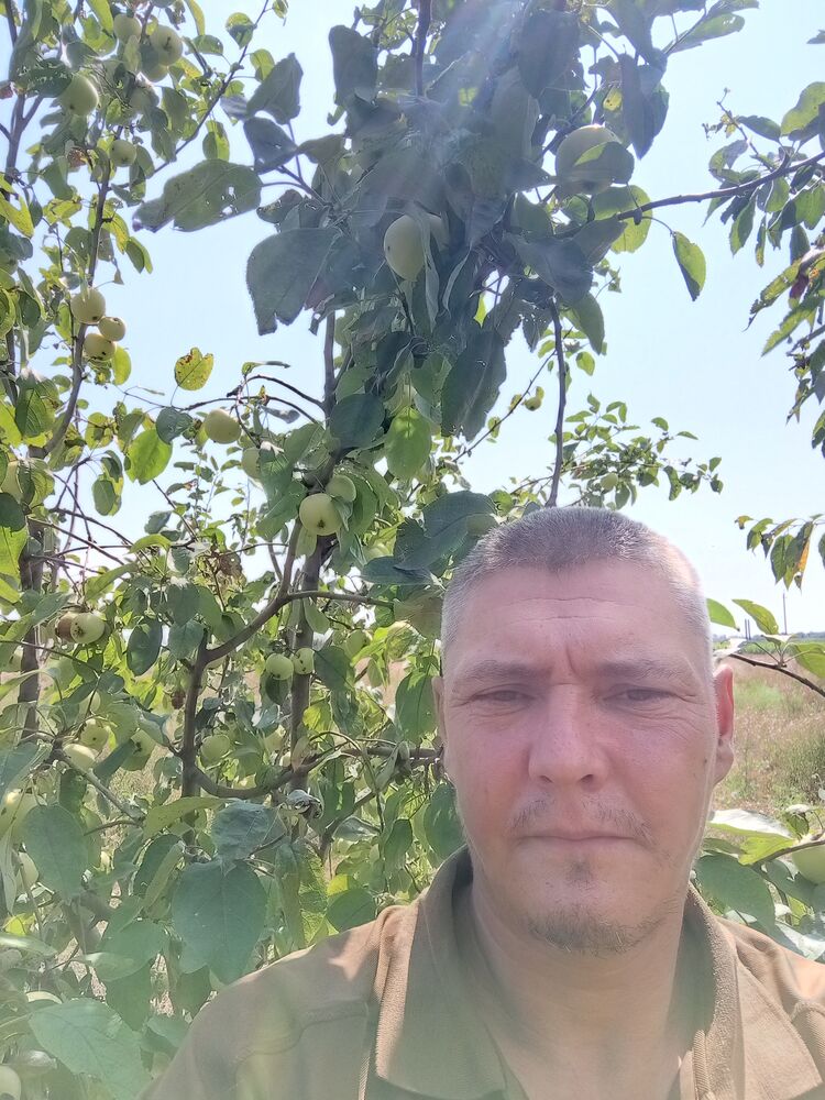 ���������� ����������, ���� ������� �������, 44 ����, ������������ ��� ������, ����� � ���������