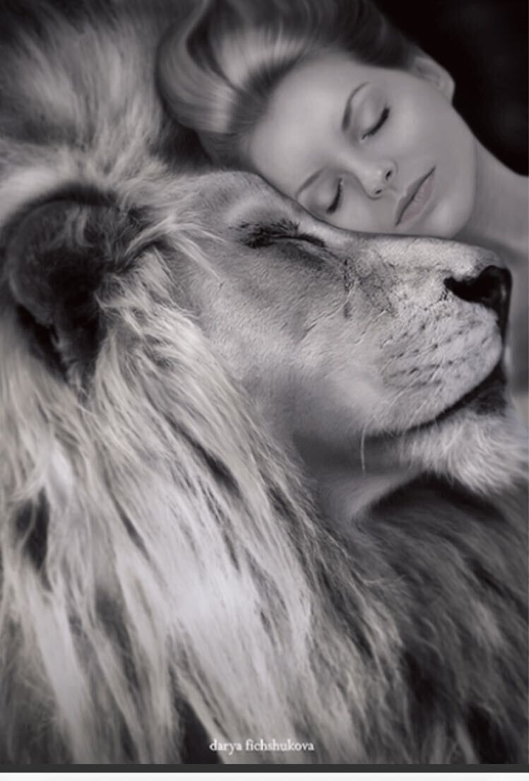 ���� 43775405 ����� ����, 23 ����, ���� ���������� � ������