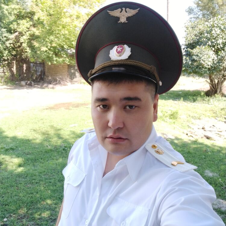 ���� 33051975 ������� �����, 34 ����, ���� ���������� � �������