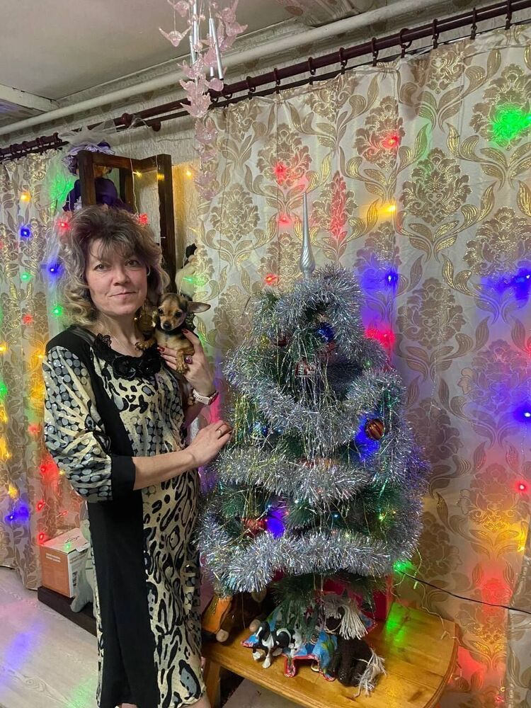 ���������� ����, ���� ������� �������, 50 ���, ������������ ��� ������, ����� � ���������