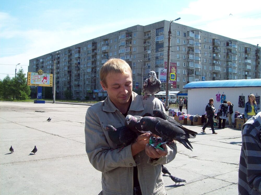 ���������� �������, ���� ������� ������, 37 ���, ������������ ��� ������