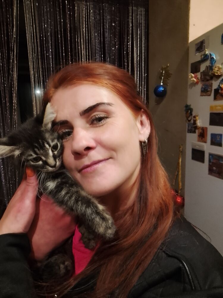 ���� 27684675 ������� ����, 40 ���, ���� ���������� � ������