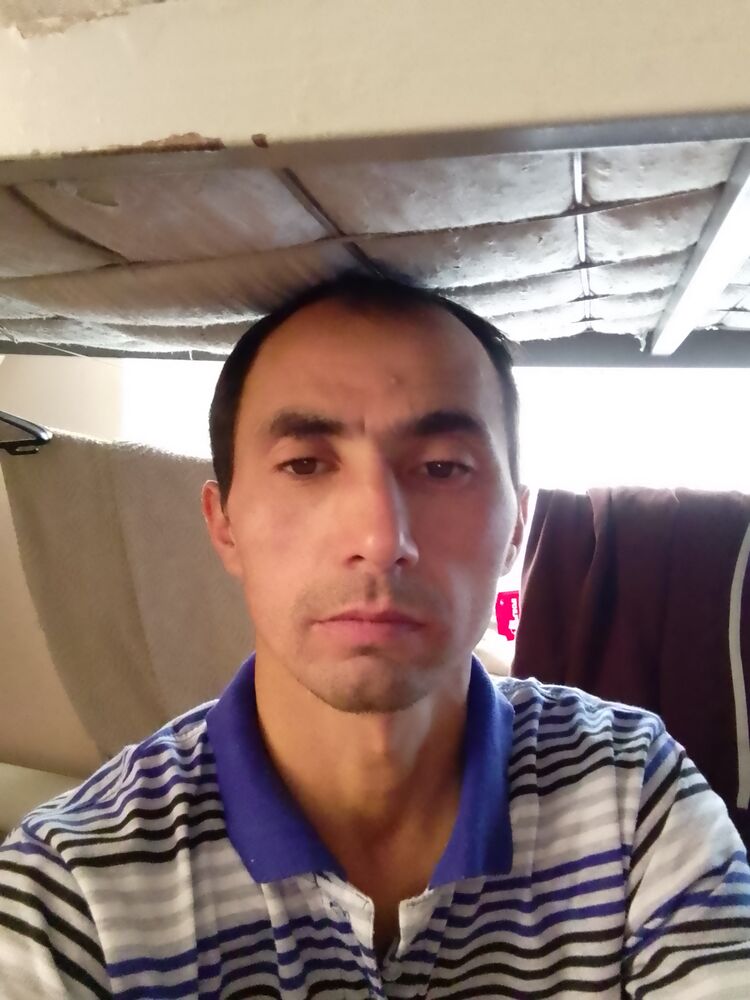 ���� 33526295 ������� �������, 44 ����, ���� ���������� � ������