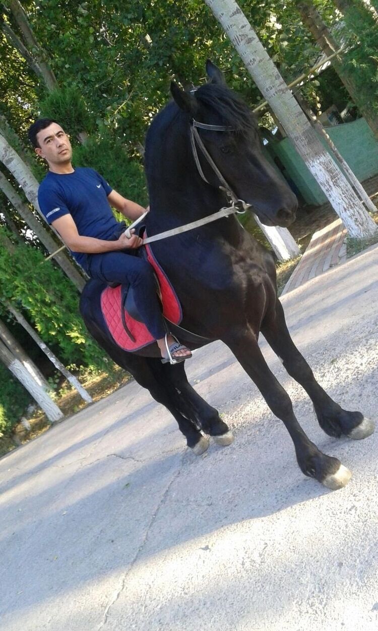  --,   Dima, 40 ,   ,   , c , 