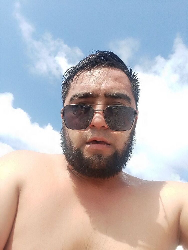  53534815  , 31 ,    