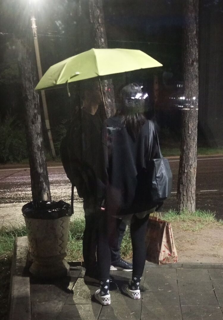  53145835  , 98 ,    -