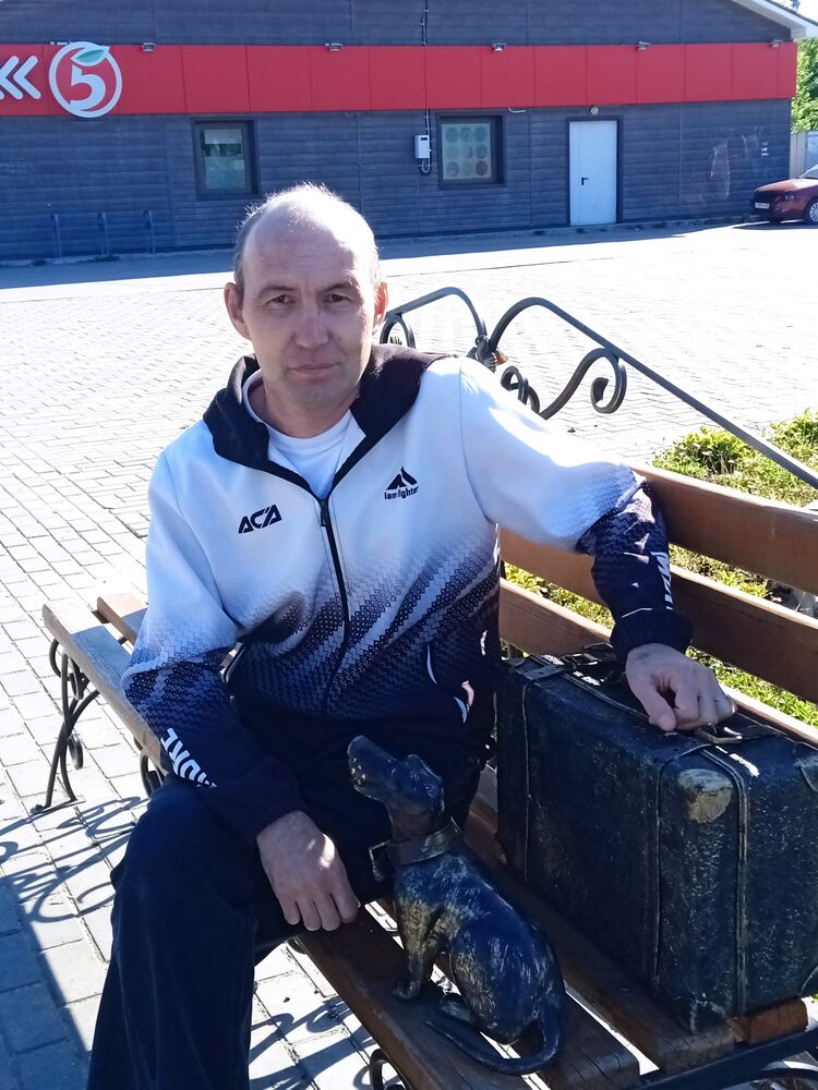  52838995  , 43 ,    -