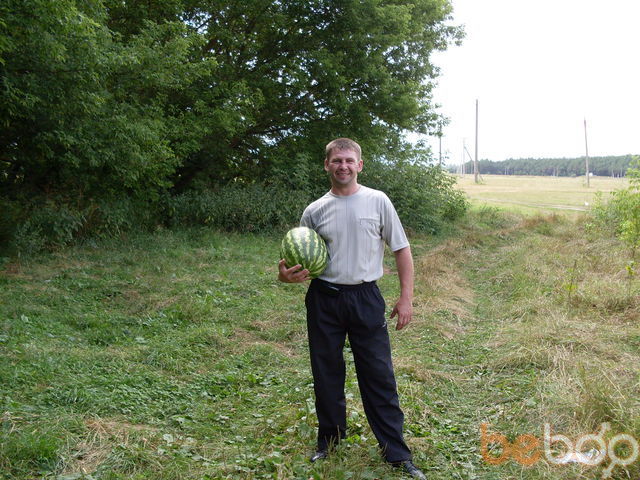 ���������� ������ �����, ���� ������� Gans, 50 ���, ������������ ��� ������, ����� � ���������, c�������� ���������