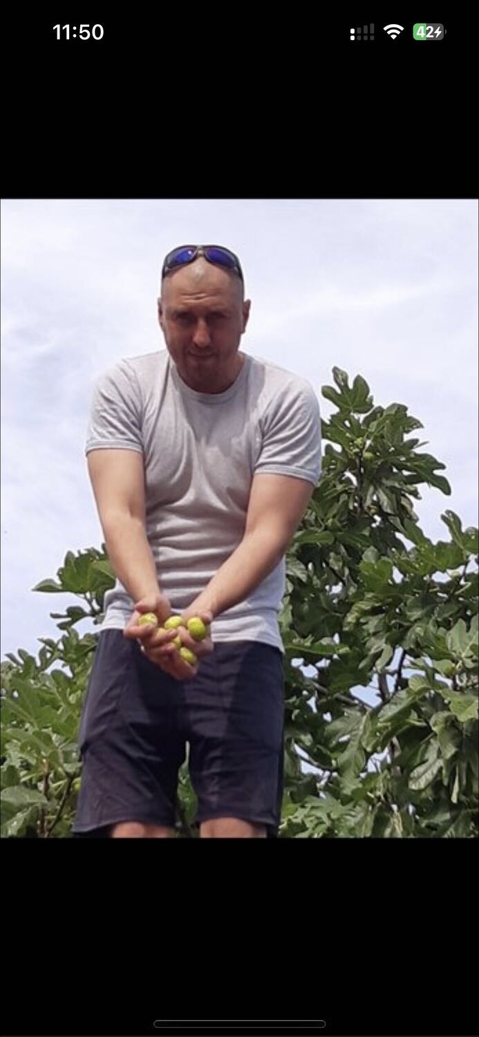  33817655  , 37 ,    