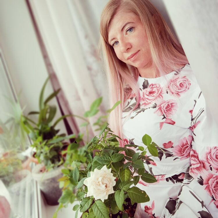  52936805  , 35 ,    -