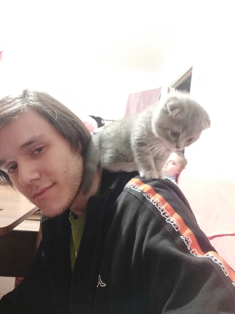 ���������� ������������, ���� ������� ����, 29 ���, ������������ ��� ����� � ���������, c�������� ���������