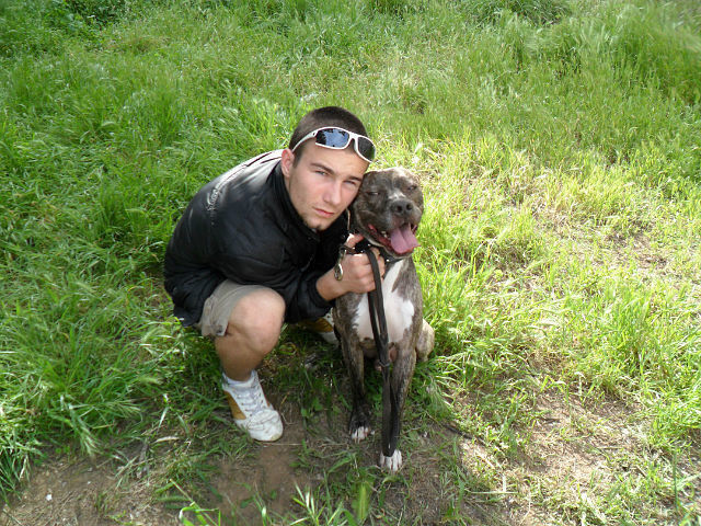  ,   Adrian, 32 ,     , c , 
