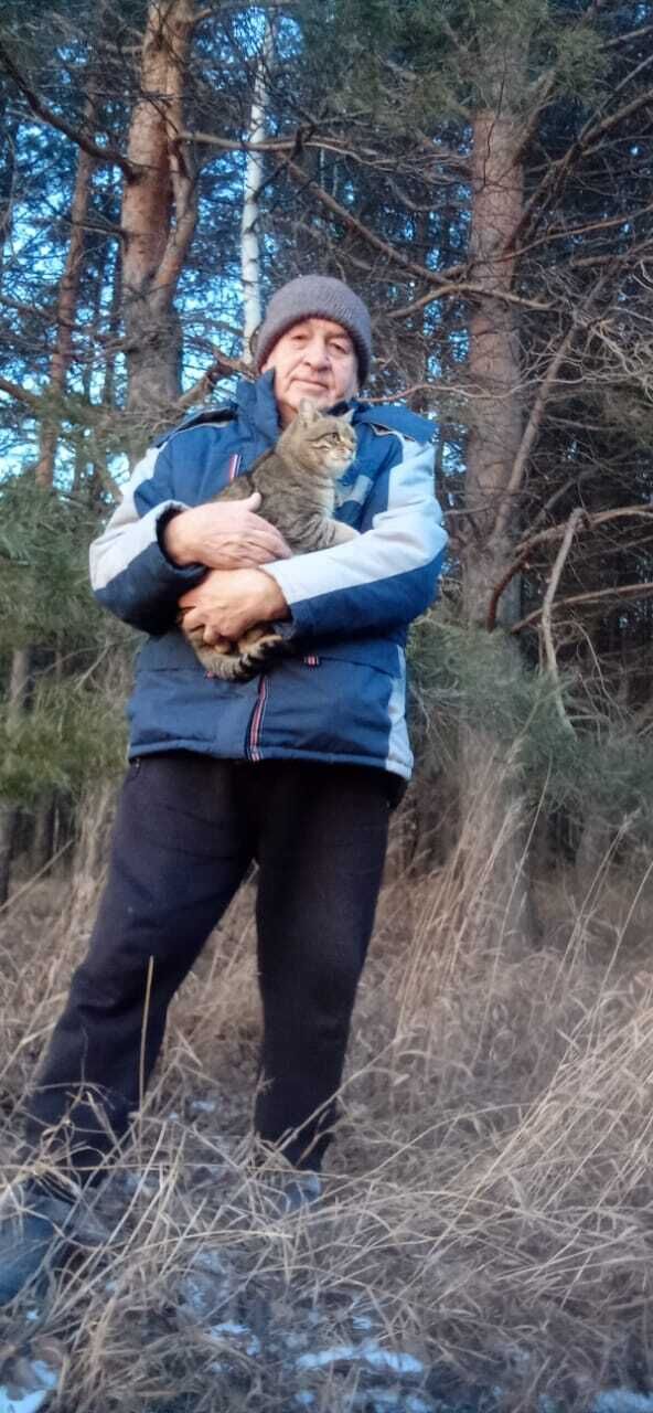 ���� 55888465 ������� �����, 68 ���, ���� ���������� � ��������