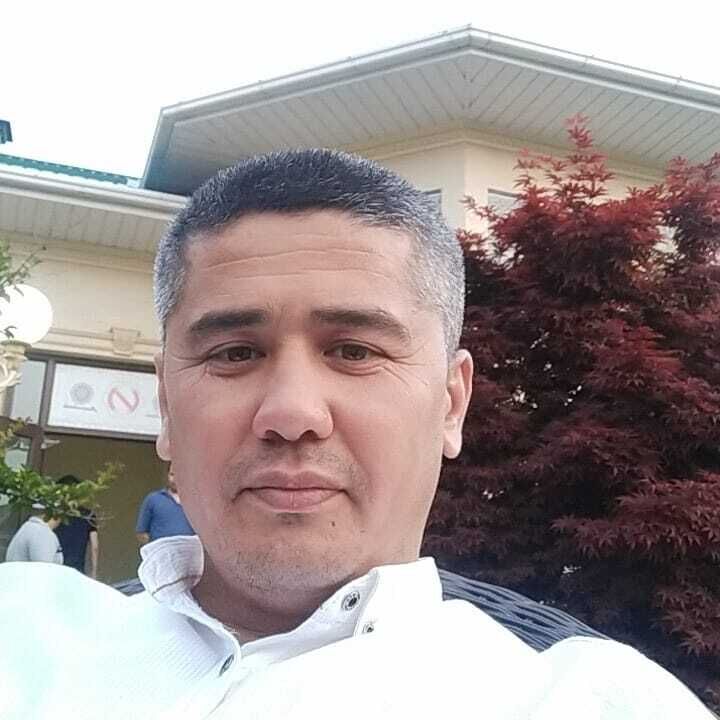  36586825  , 41 ,    -