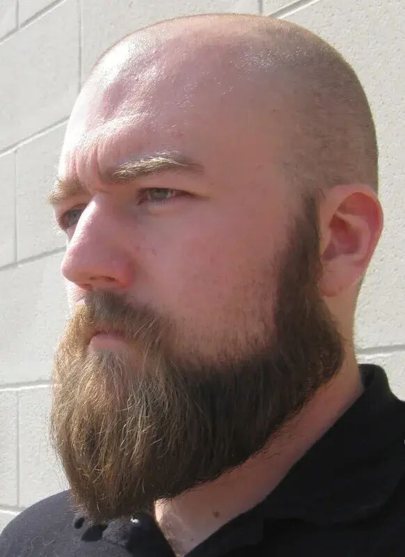 ���� 33533155 ������� ������, 36 ���, ���� ���������� � ����������