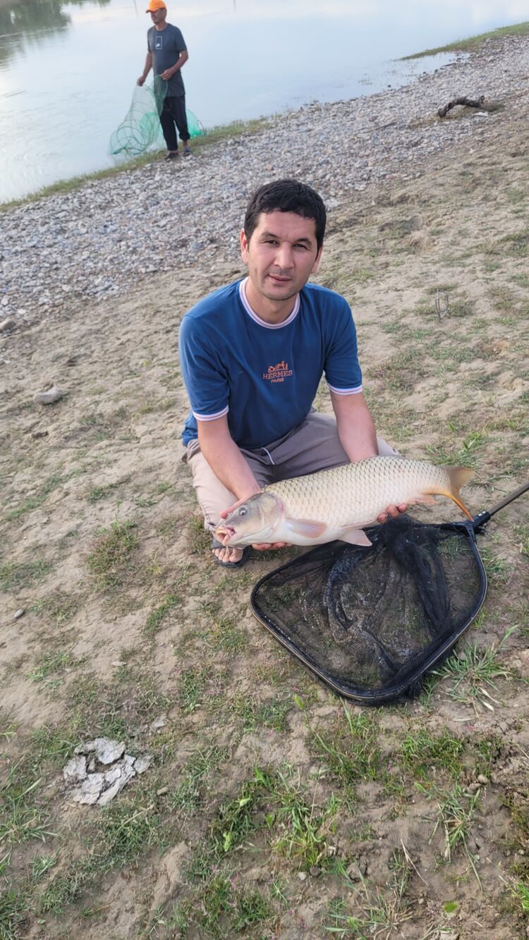 ���������� �������, ���� ����� Jamshid, 19 ���, ������������ ��� ������, ����� � ���������