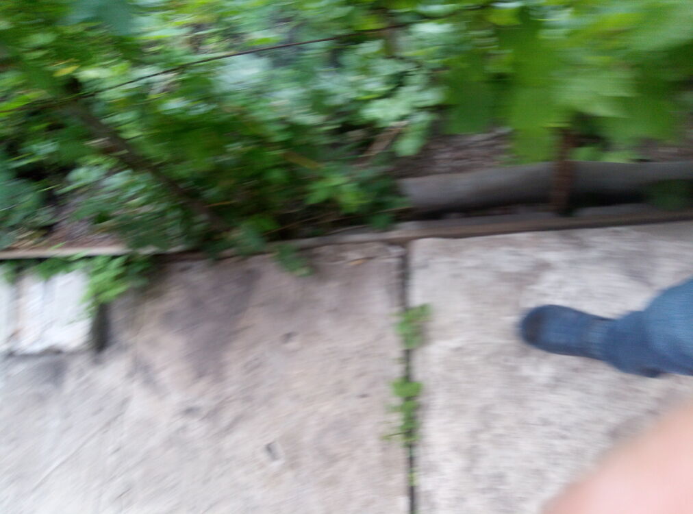  ,   , 42 ,   ,   , 