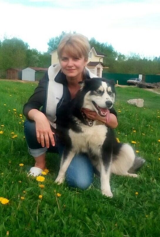 ���� 24336985 ������� ������, 54 ����, ���� ���������� � ������