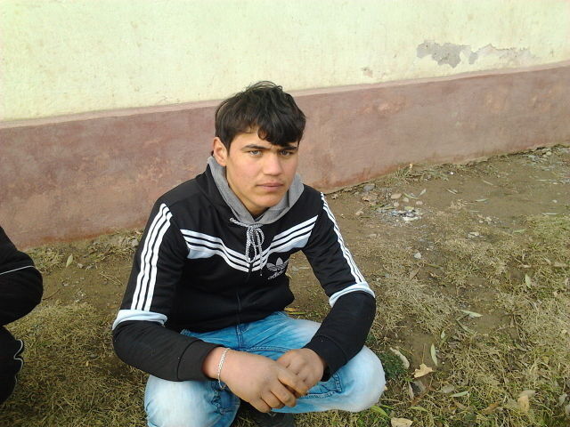  8455425  Dimok, 31 ,    