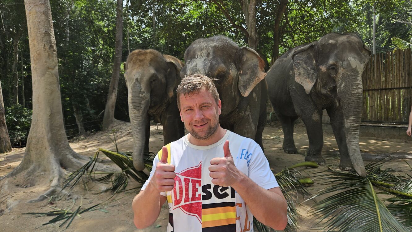 ���� 41464525 ������� �������, 40 ���, ���� ���������� � ����