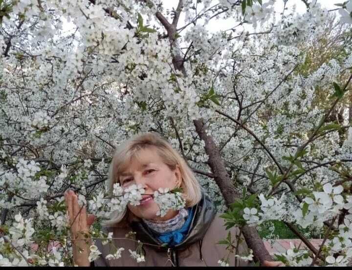 ���� 49990145 ������� �����, 60 ���, ���� ���������� � �������������