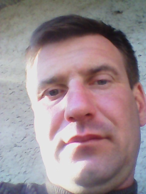  ,    maluk, 44 ,     , c 