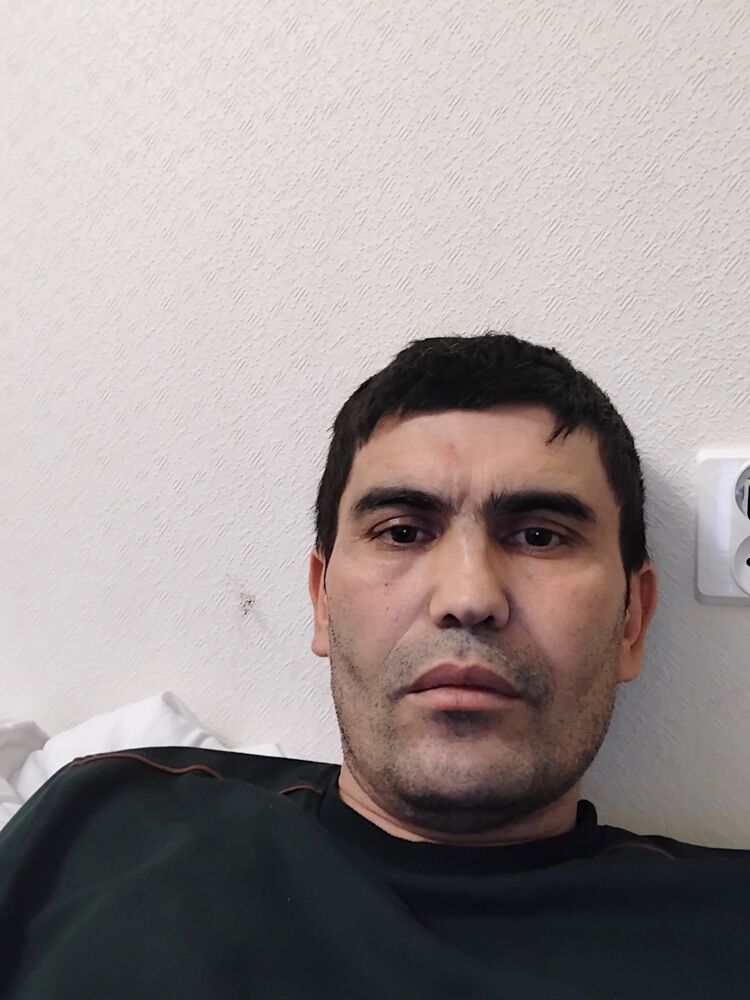  49506305  , 40 ,    -