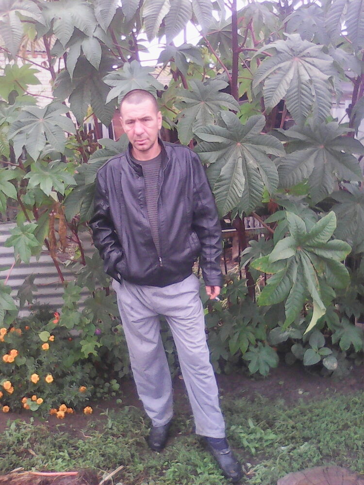  ,   , 50 ,   