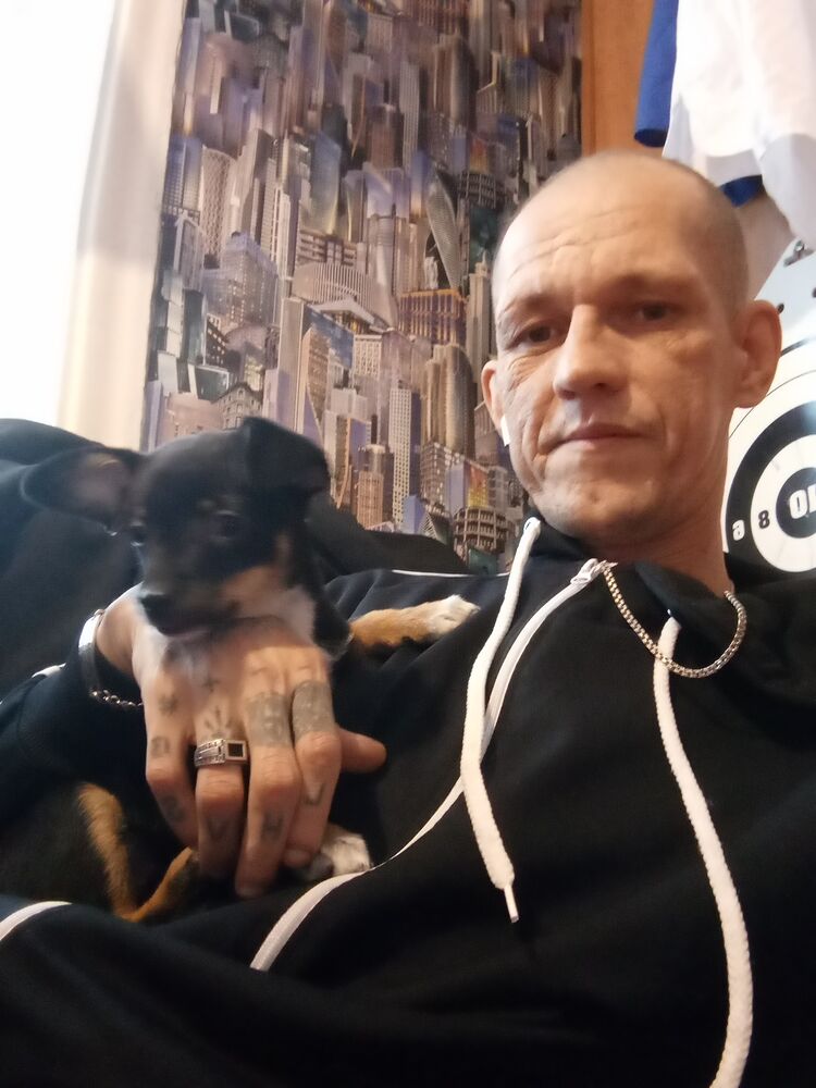 ���� 41470205 ������� ����, 38 ���, ���� ���������� � ��������