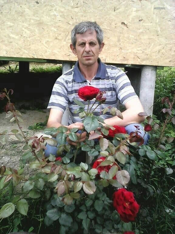  ,   , 55 ,  