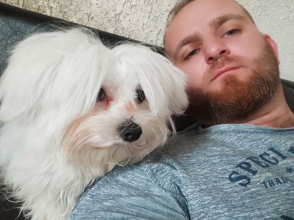 ���������� ���������, ���� ������� �������, 38 ���, ������������ ��� ������, ����� � ���������, c�������� ���������