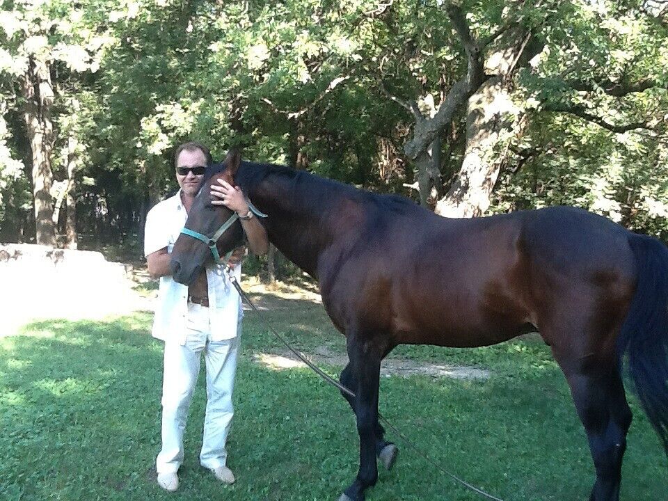 ���������� ������, ���� ������� ����, 52 ����, ������������ ��� c�������� ���������