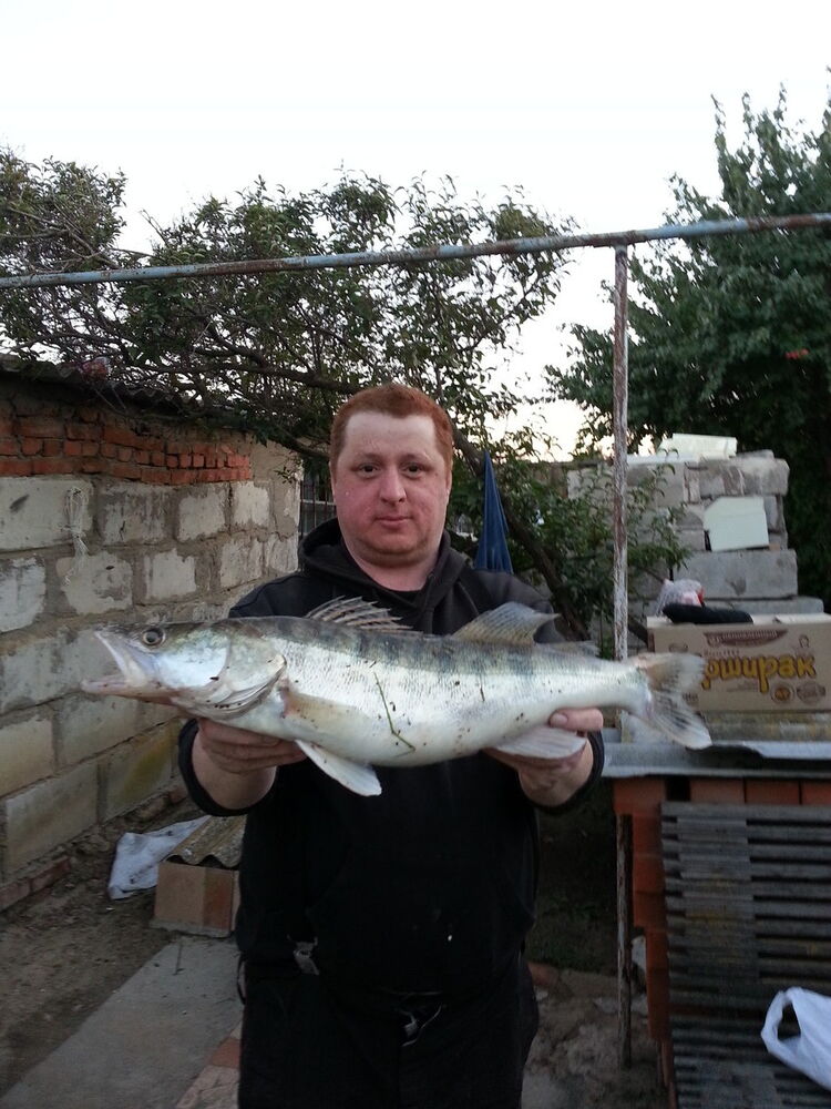  ,   SAM, 58 ,   ,   , c 
