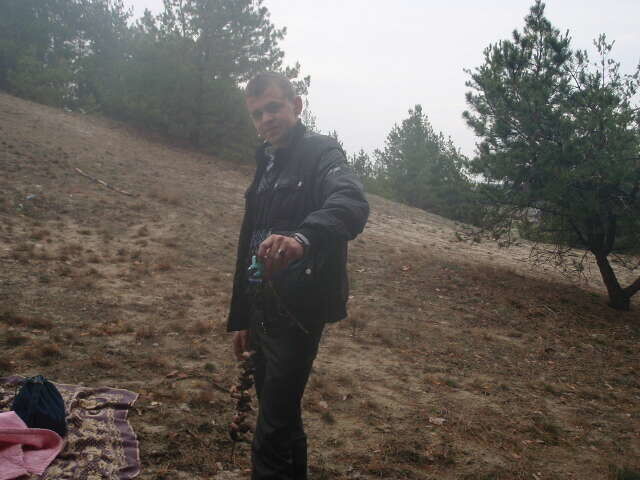  ,   Petro, 32 ,   , 