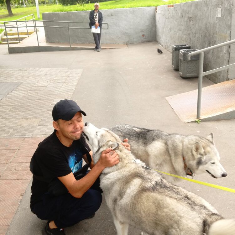 ���������� ������, ���� ������� ������, 43 ����, ������������ ��� ������, ����� � ���������, c�������� ���������