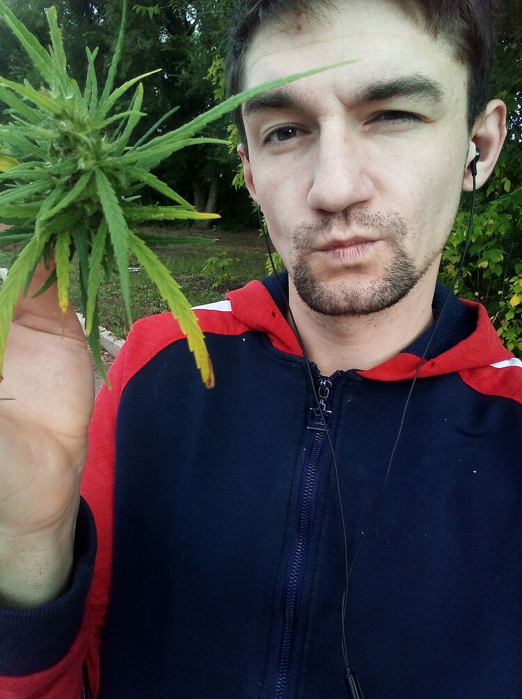 ���������� ����������, ���� ������� �����, 30 ���, ������������ ��� c�������� ���������