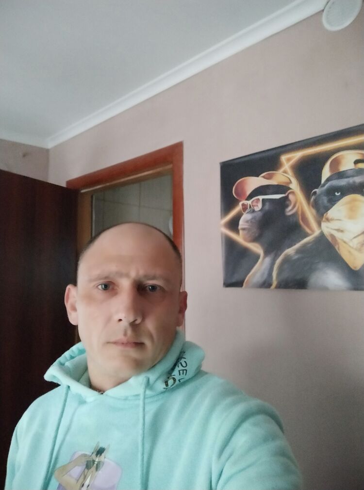  50400365  , 41 ,    