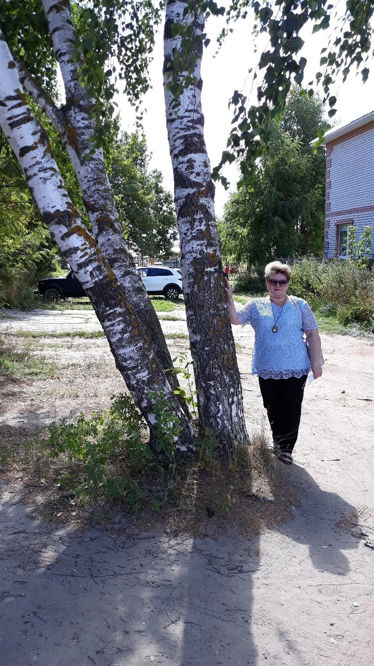  54168355  , 60 ,    -