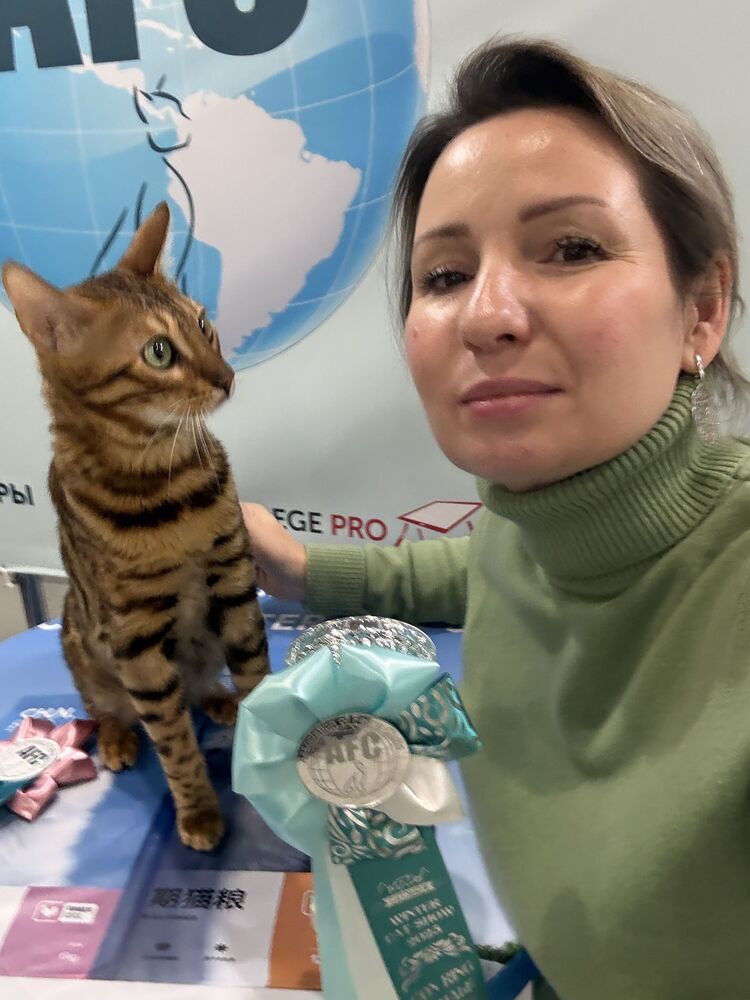 ���� 56019045 ������� ����, 46 ���, ���� ���������� � ������