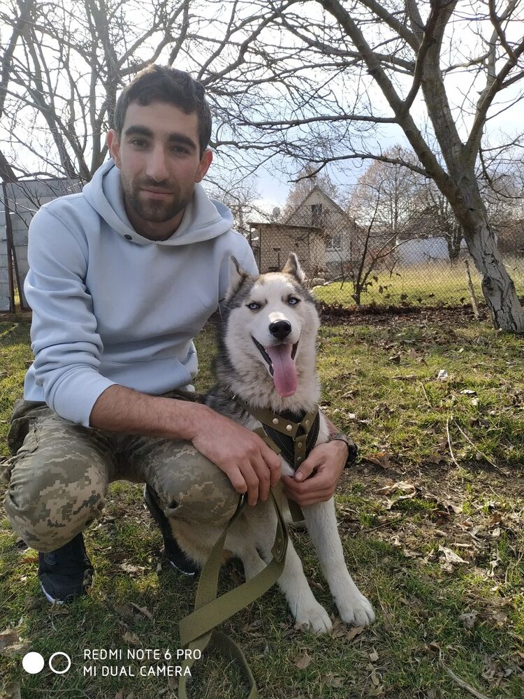 ���� 16877345 ������� ��� ��� ���, 34 ����, ���� ���������� � ������