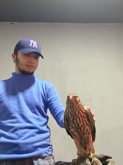  ,   , 19 ,   ,   