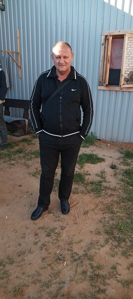  ,   , 54 ,   ,   