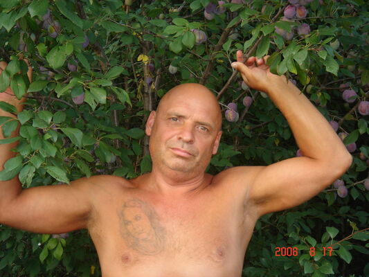  ,   Aleksandr, 64 ,     , c 