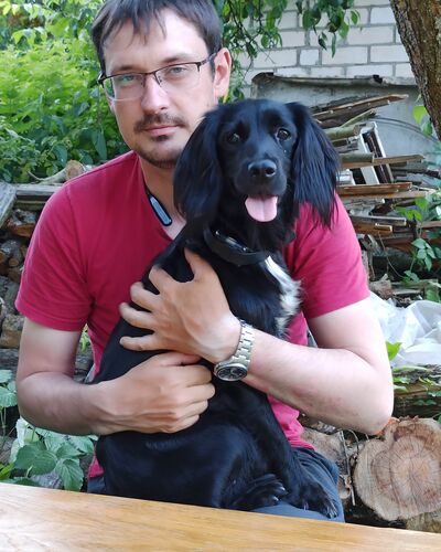  ,   Pavel, 37 ,   ,   , c 