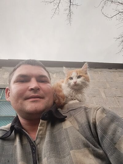  ,   Dimon, 31 ,   ,   