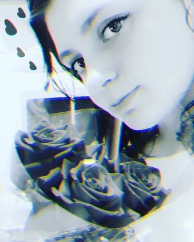  -,   , 24 ,   ,   , c 